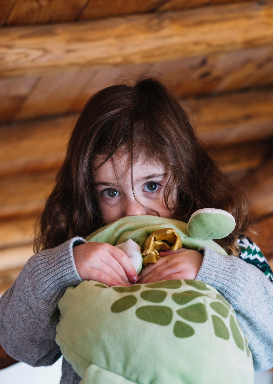 This image for Image Layouts addon